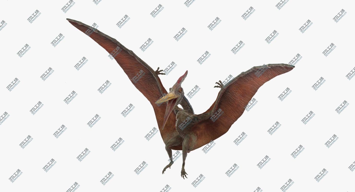 images/goods_img/202105072/Pteranodon Landing Pose 3D model/3.jpg